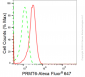 KD-Validated Anti-PRMT6 Rabbit Monoclonal Antibody